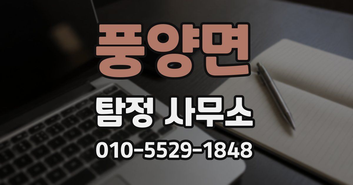 풍양면 탐정 사무소