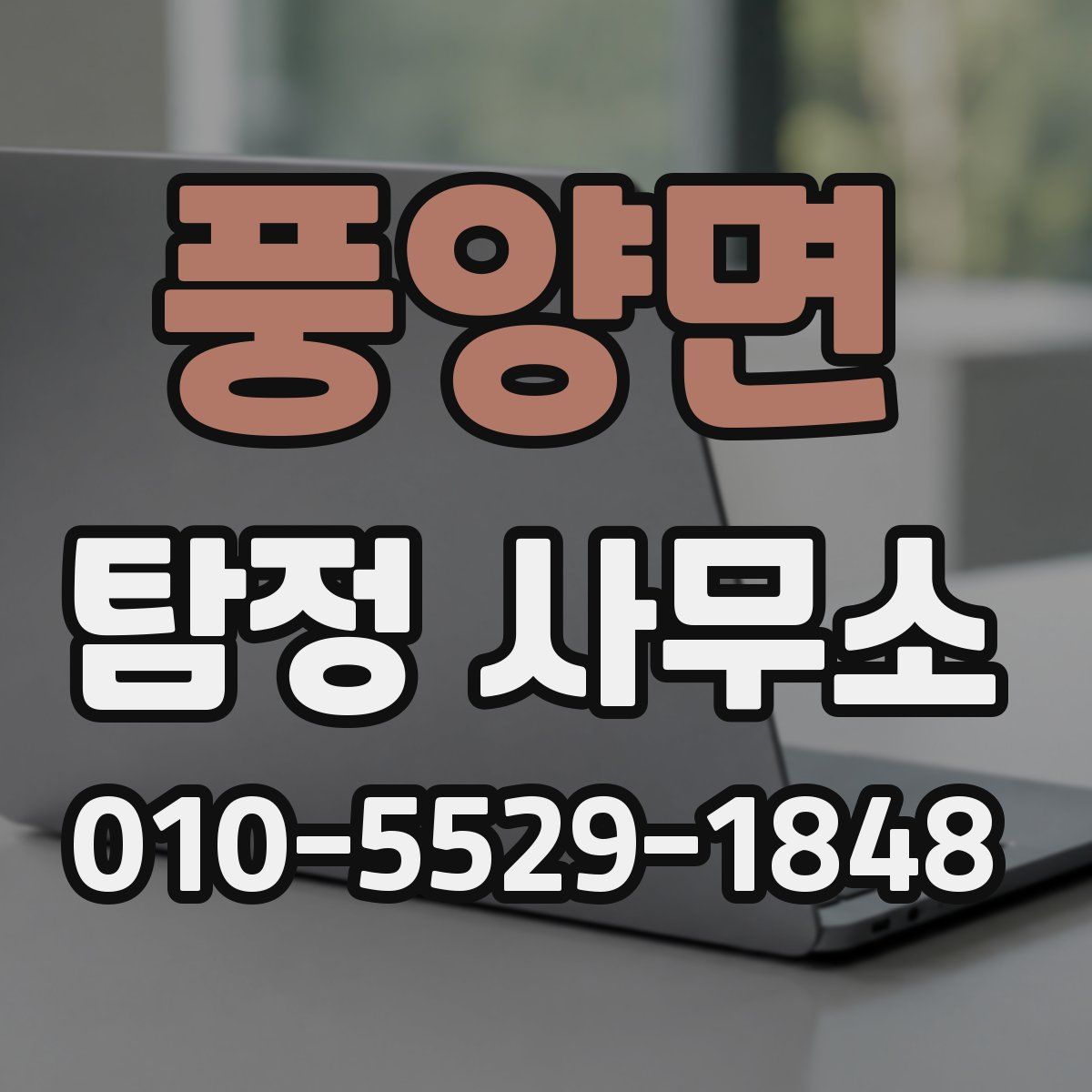 풍양면 탐정 사무소