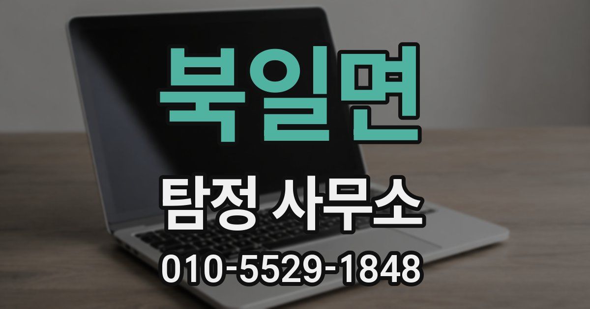 북일면 탐정 사무소