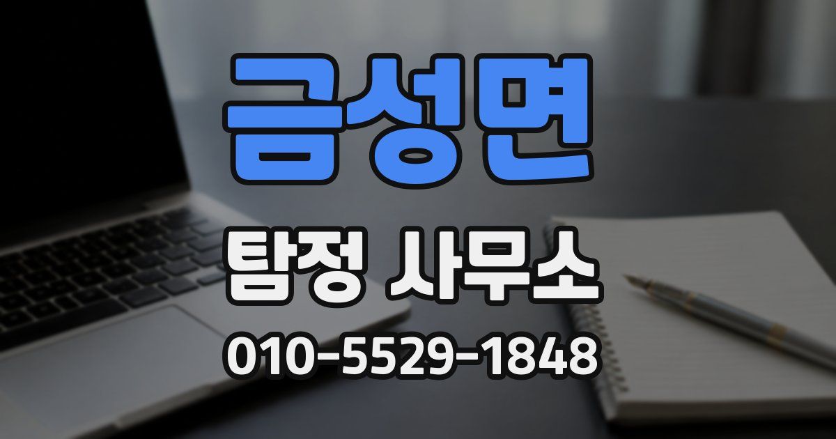 금성면 탐정 사무소