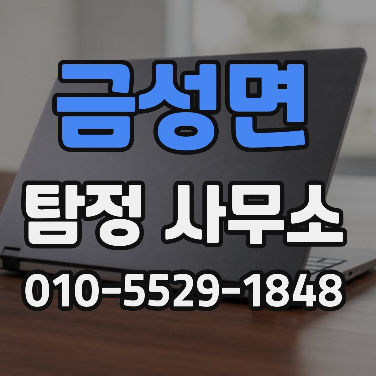 금성면 탐정 사무소