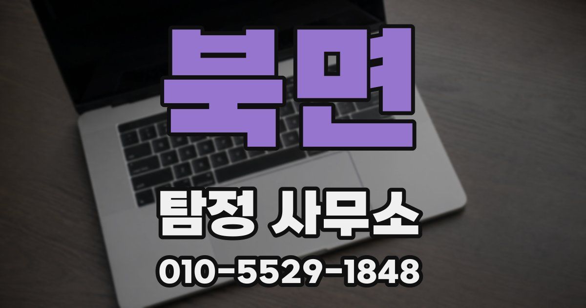북면 탐정 사무소