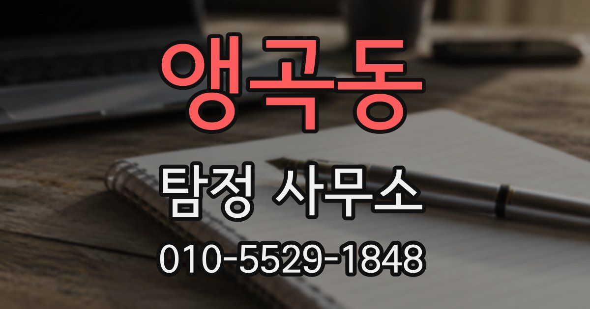 앵곡동 탐정 사무소