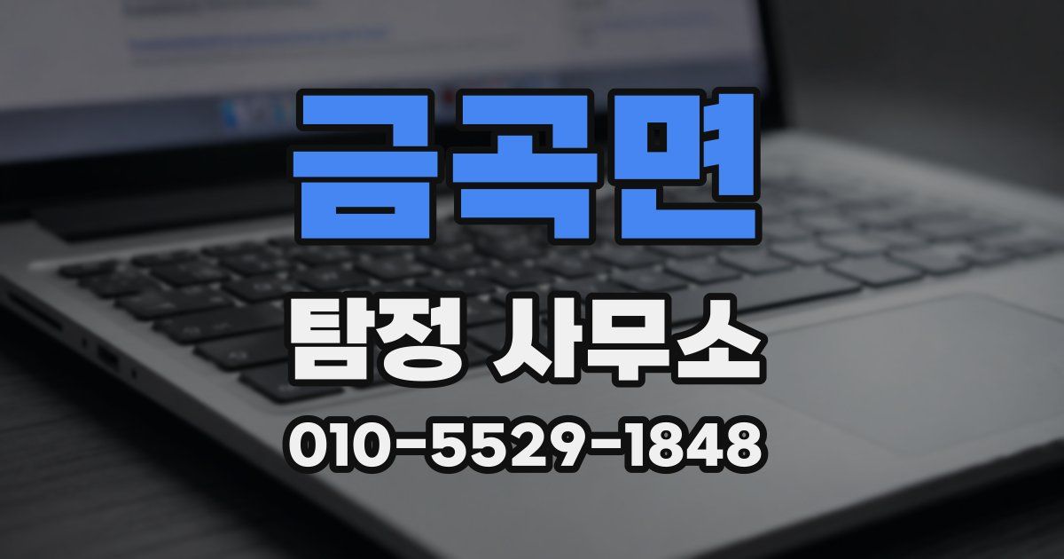 금곡면 탐정 사무소