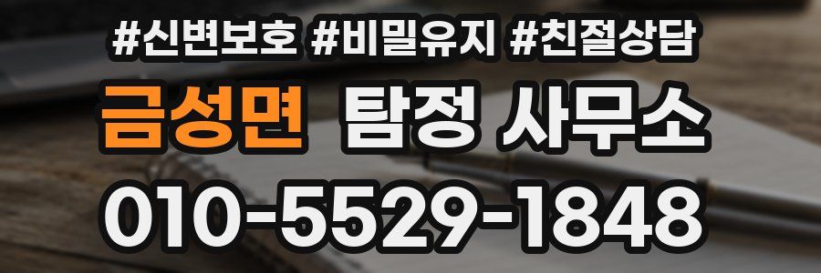 금성면 탐정 사무소