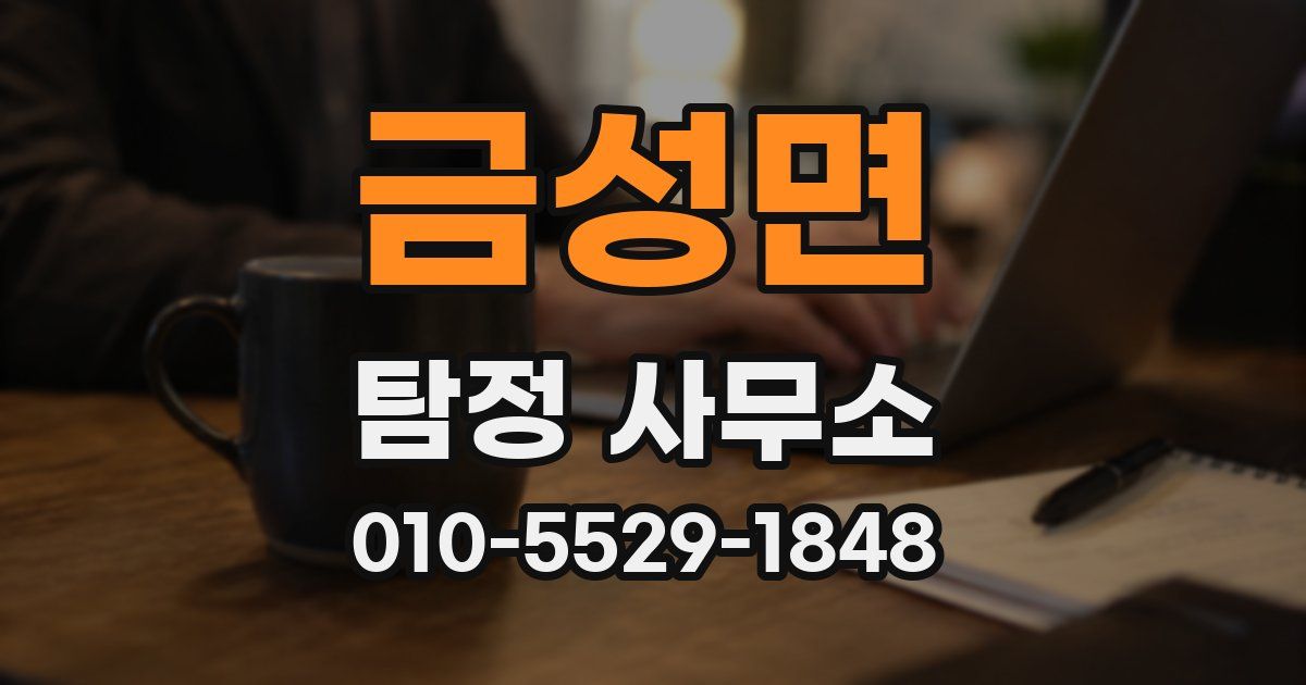 금성면 탐정 사무소