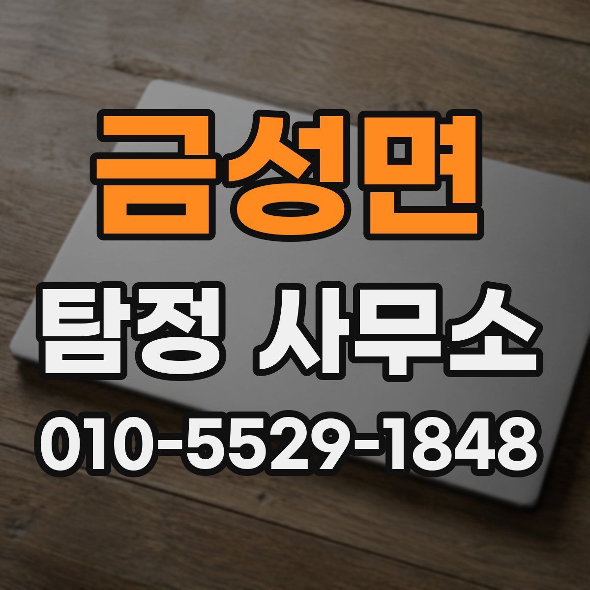 금성면 탐정 사무소