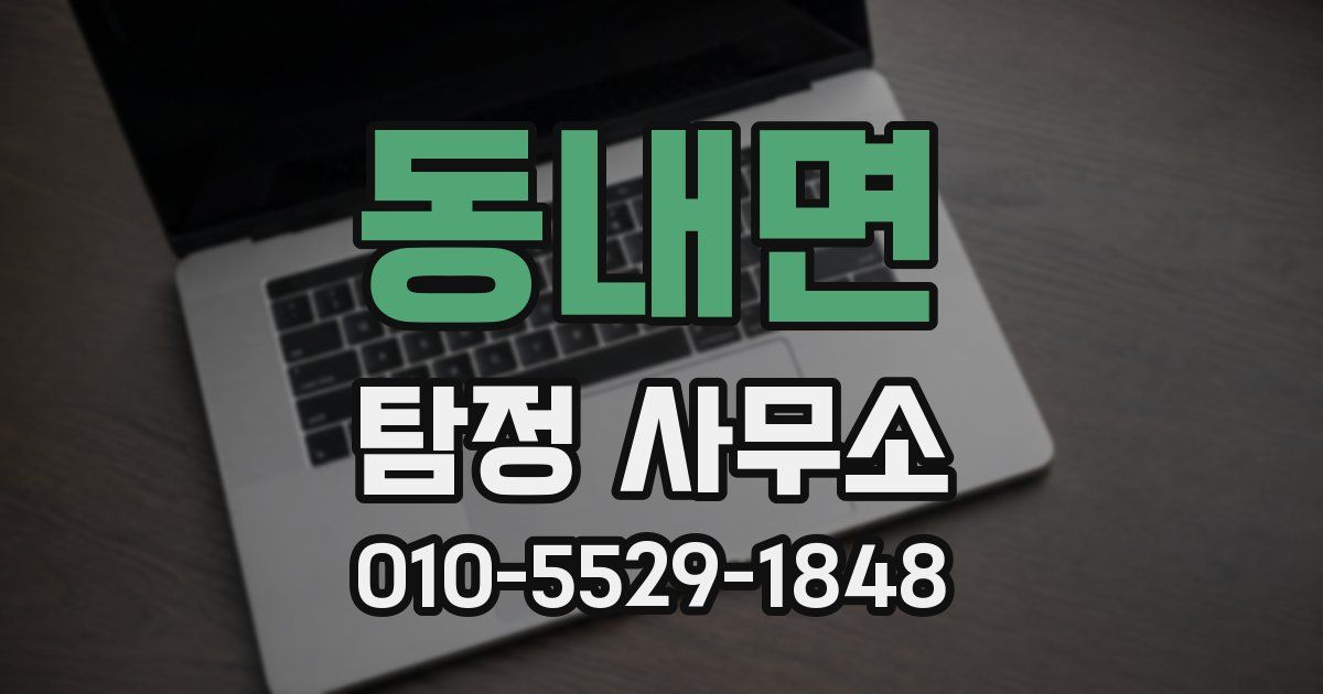 동내면 탐정 사무소