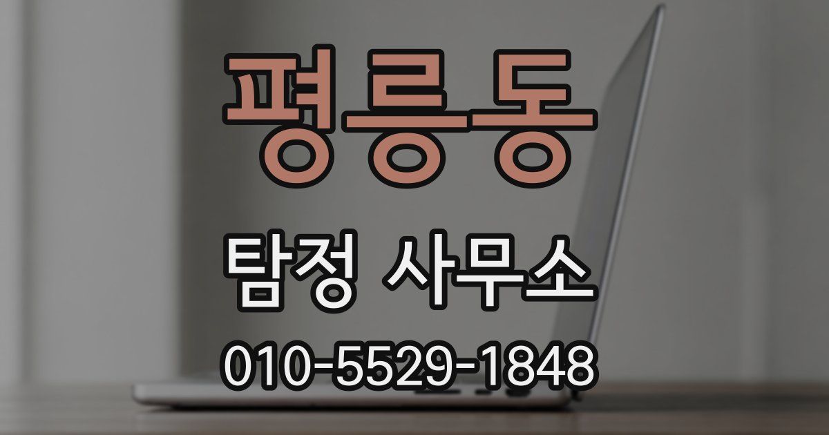 평릉동 탐정 사무소