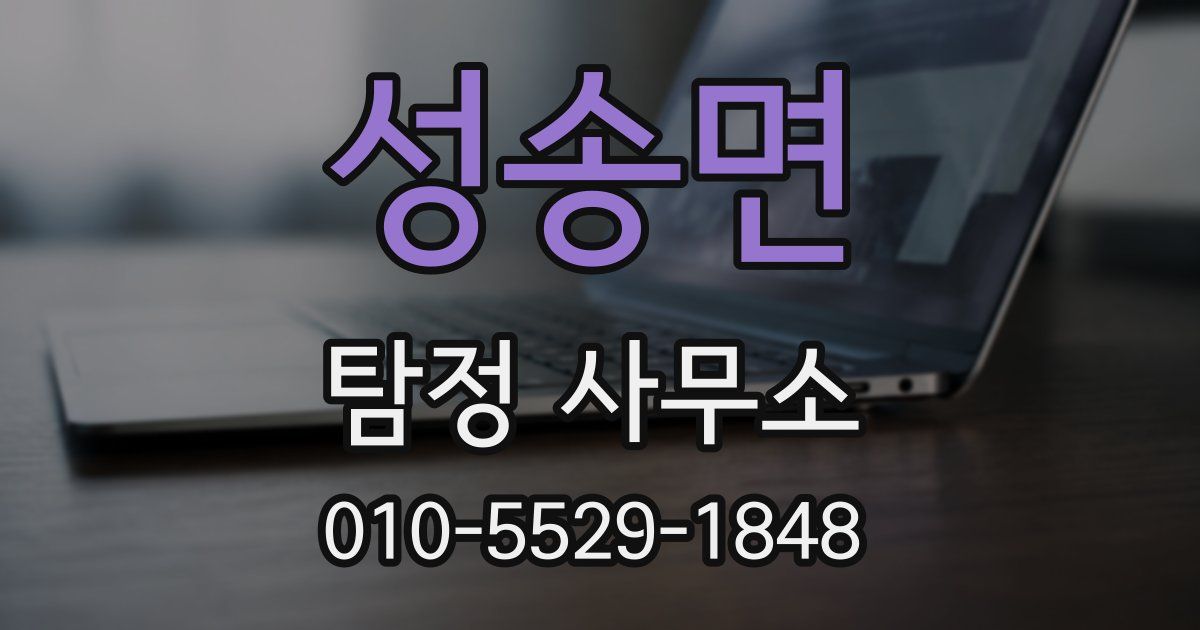 성송면 탐정 사무소