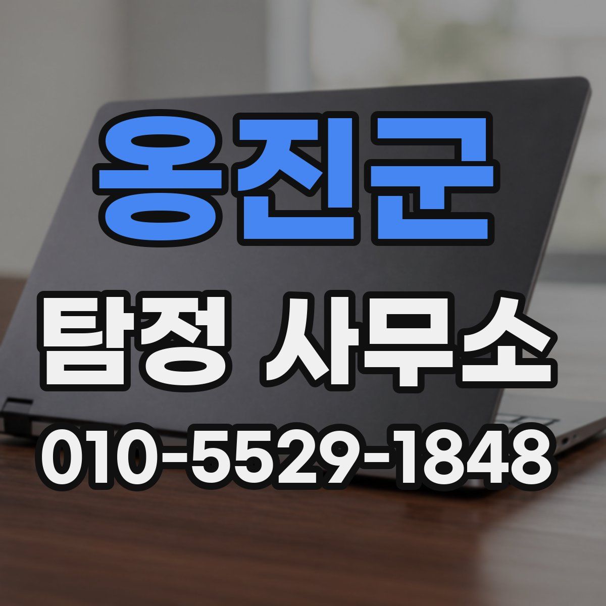옹진군 탐정 사무소