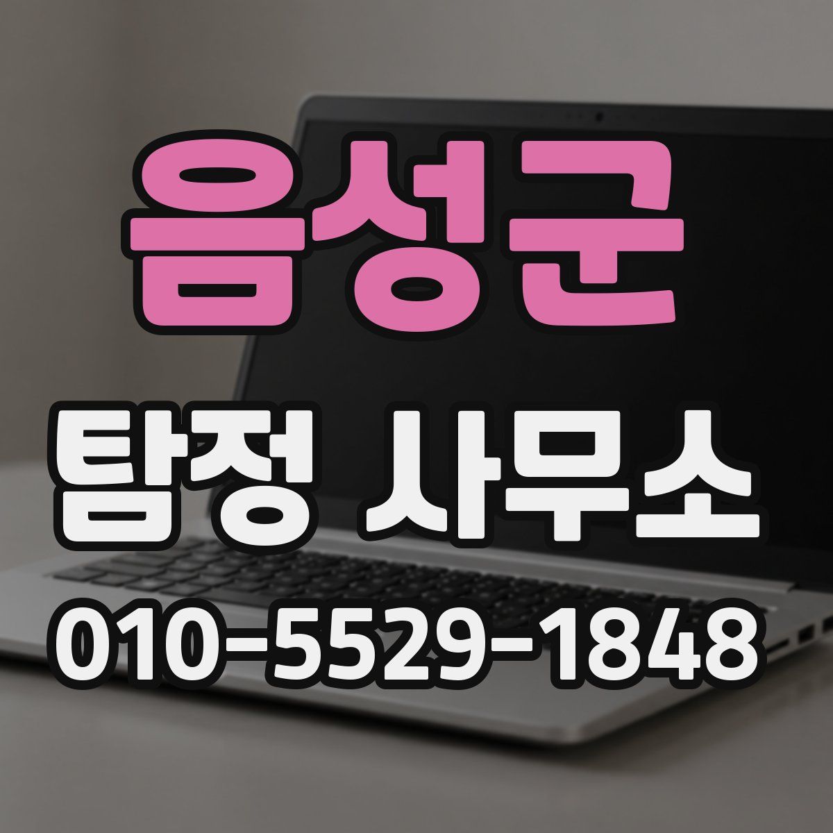 음성군 탐정 사무소
