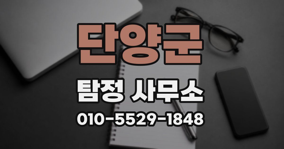 단양군 탐정 사무소