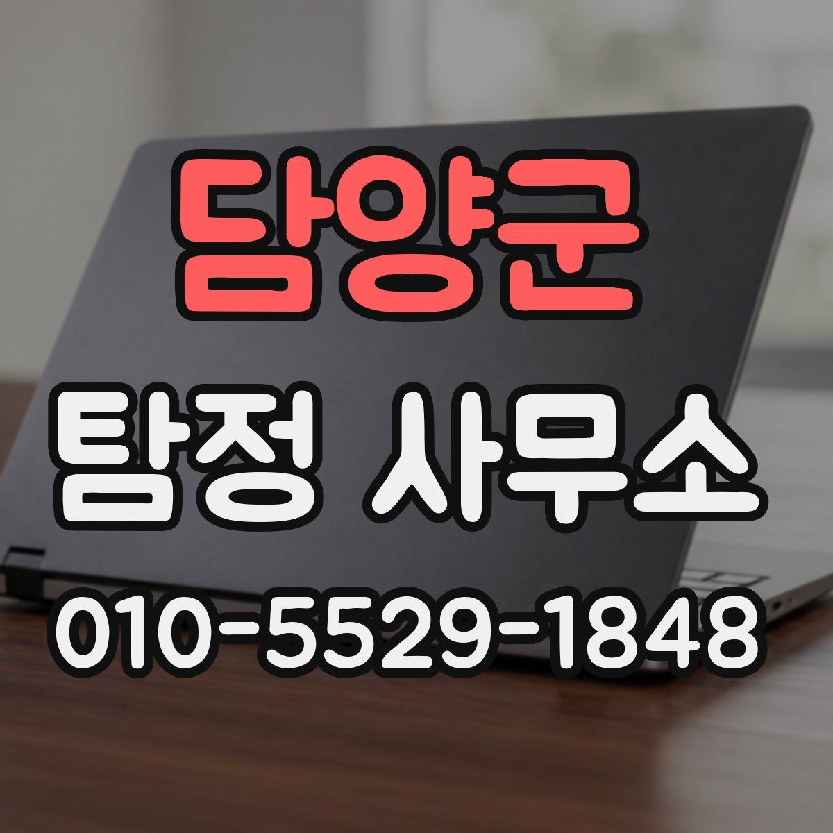 담양군 탐정 사무소