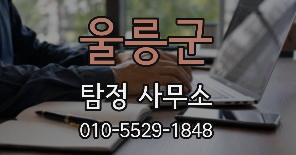 울릉군 탐정 사무소