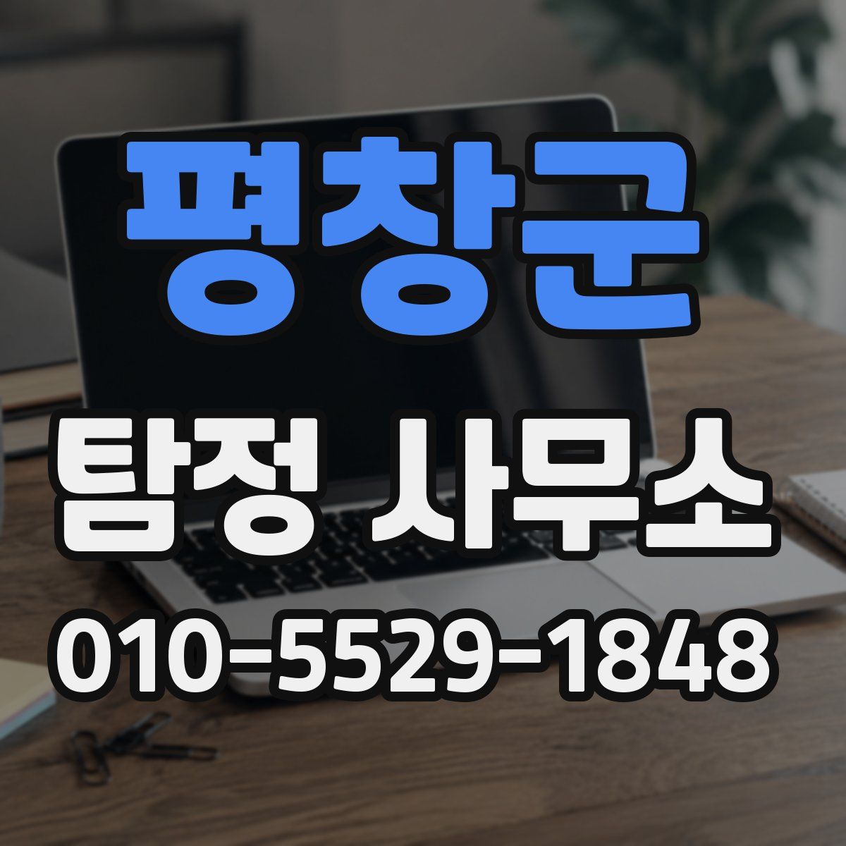 평창군 탐정 사무소