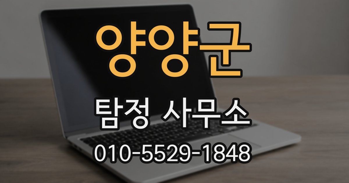 양양군 탐정 사무소