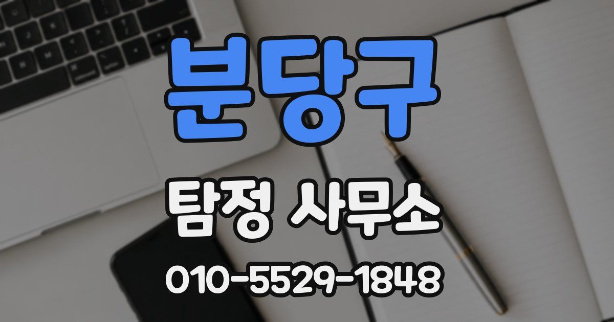 분당구 탐정 사무소