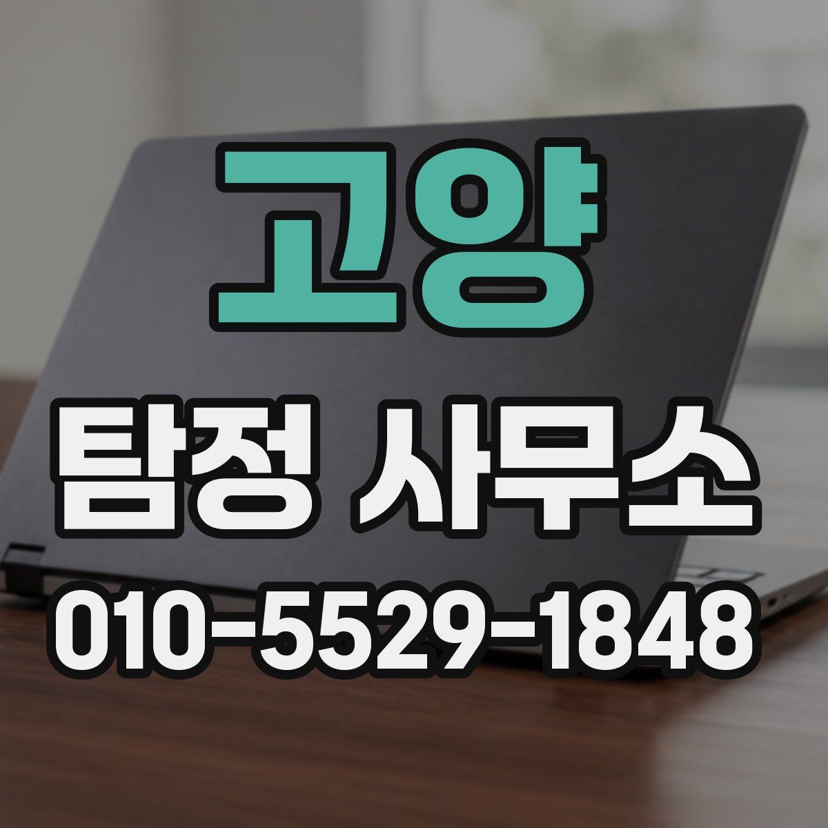 고양 탐정 사무소