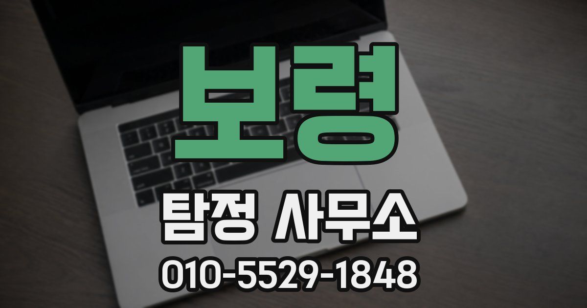 보령 탐정 사무소