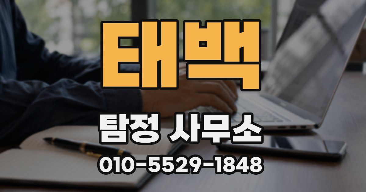 태백 탐정 사무소