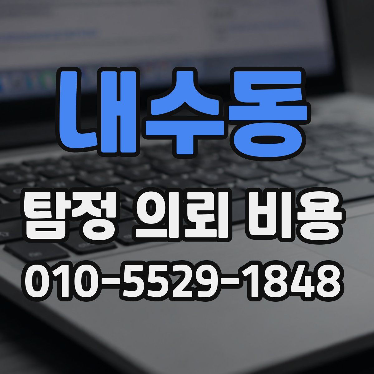 내수동 탐정 의뢰 비용