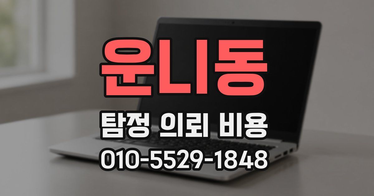 운니동 탐정 의뢰 비용