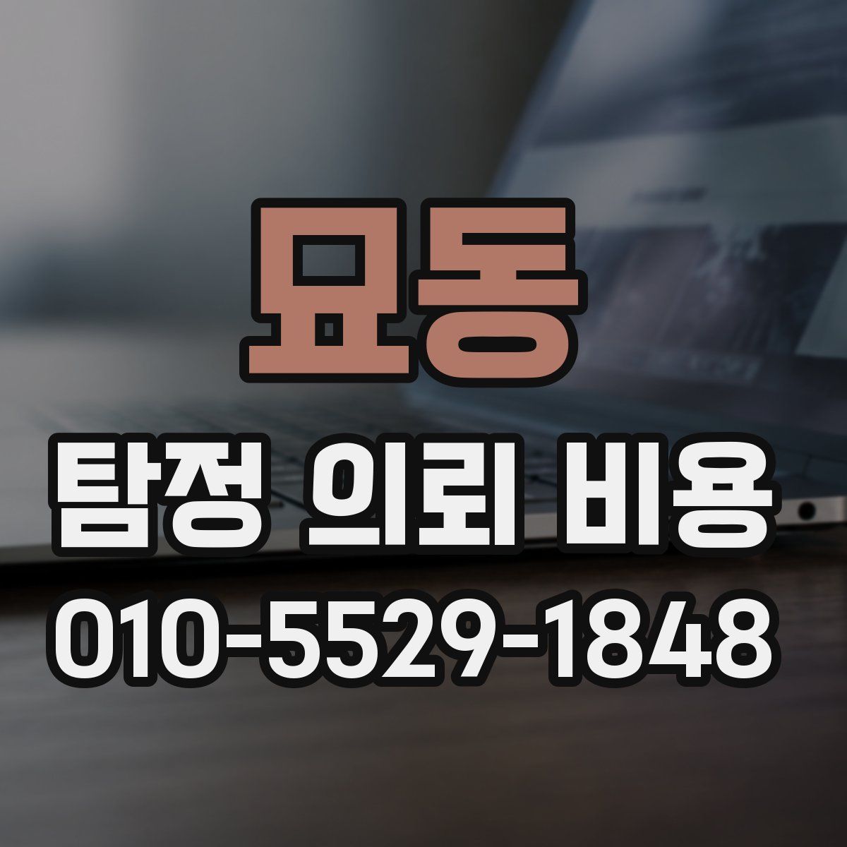 묘동 탐정 의뢰 비용