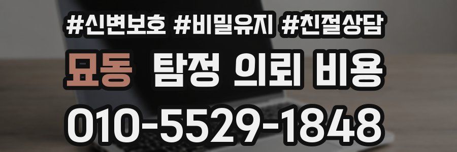 묘동 탐정 의뢰 비용