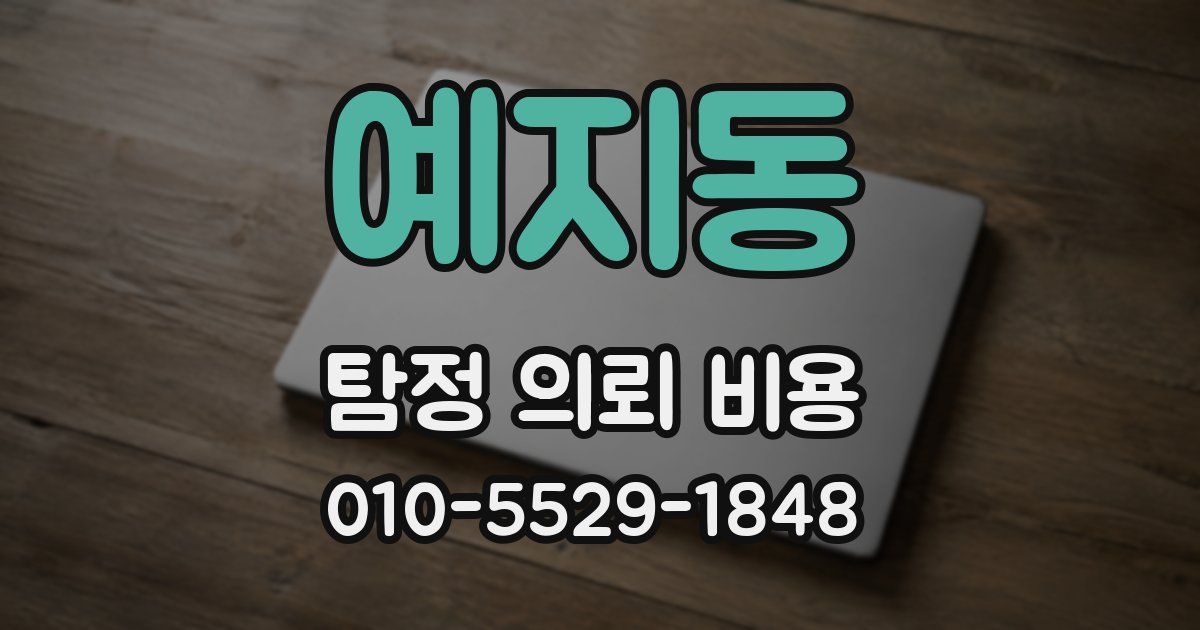 예지동 탐정 의뢰 비용