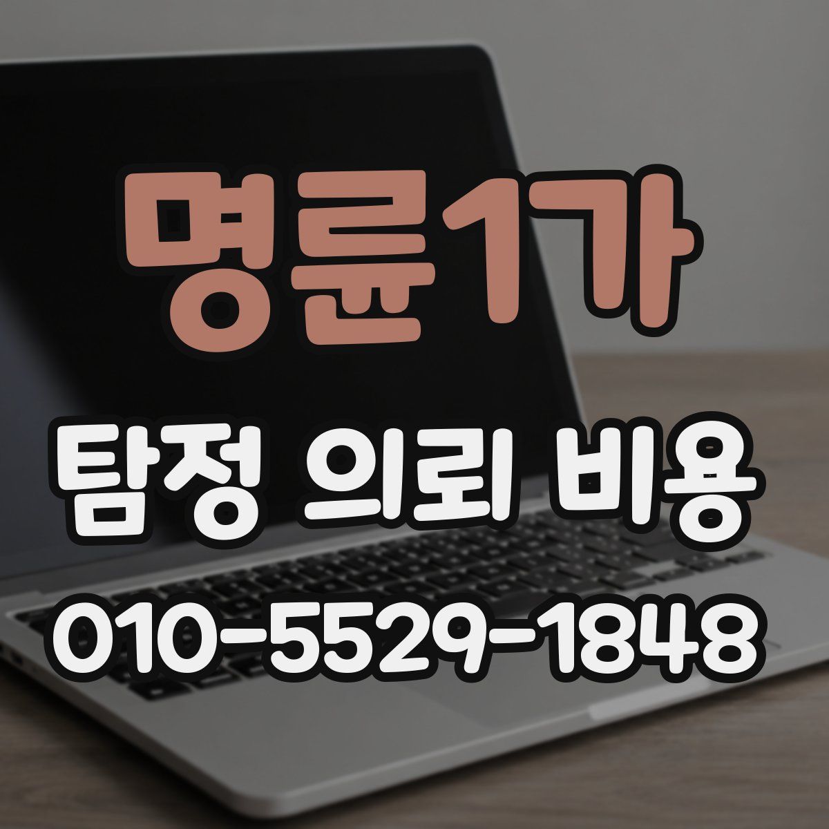 명륜1가 탐정 의뢰 비용