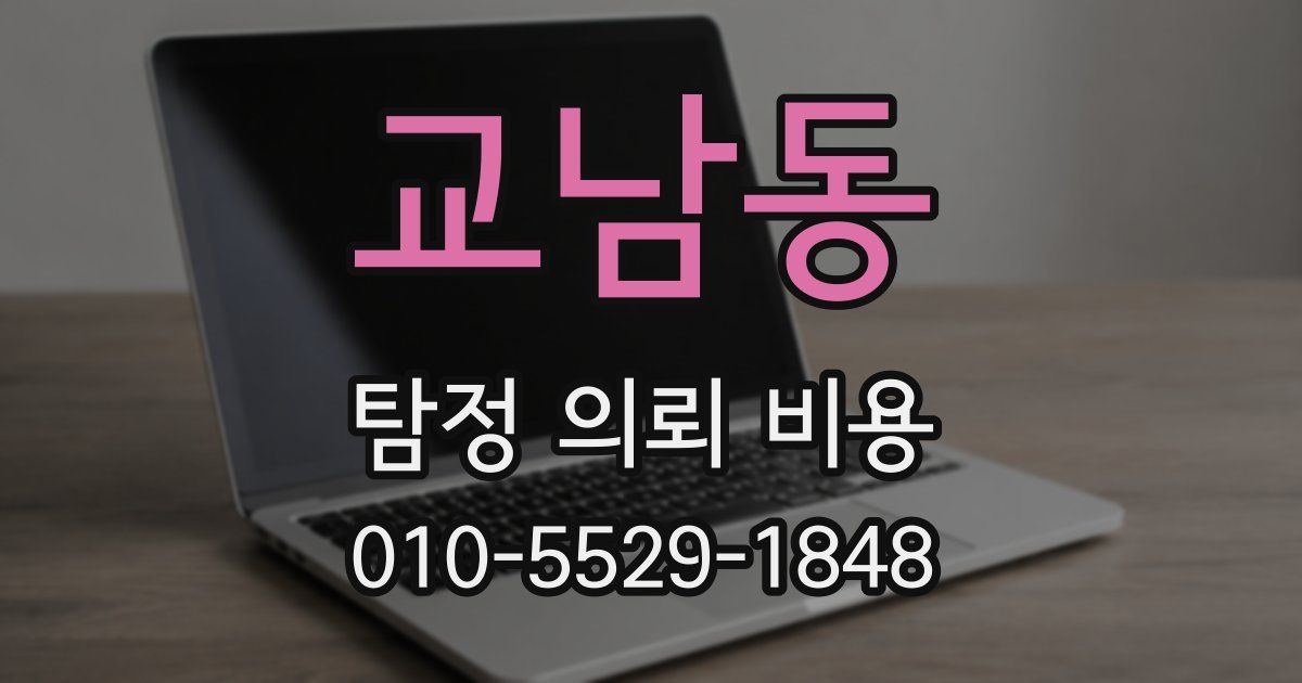 교남동 탐정 의뢰 비용