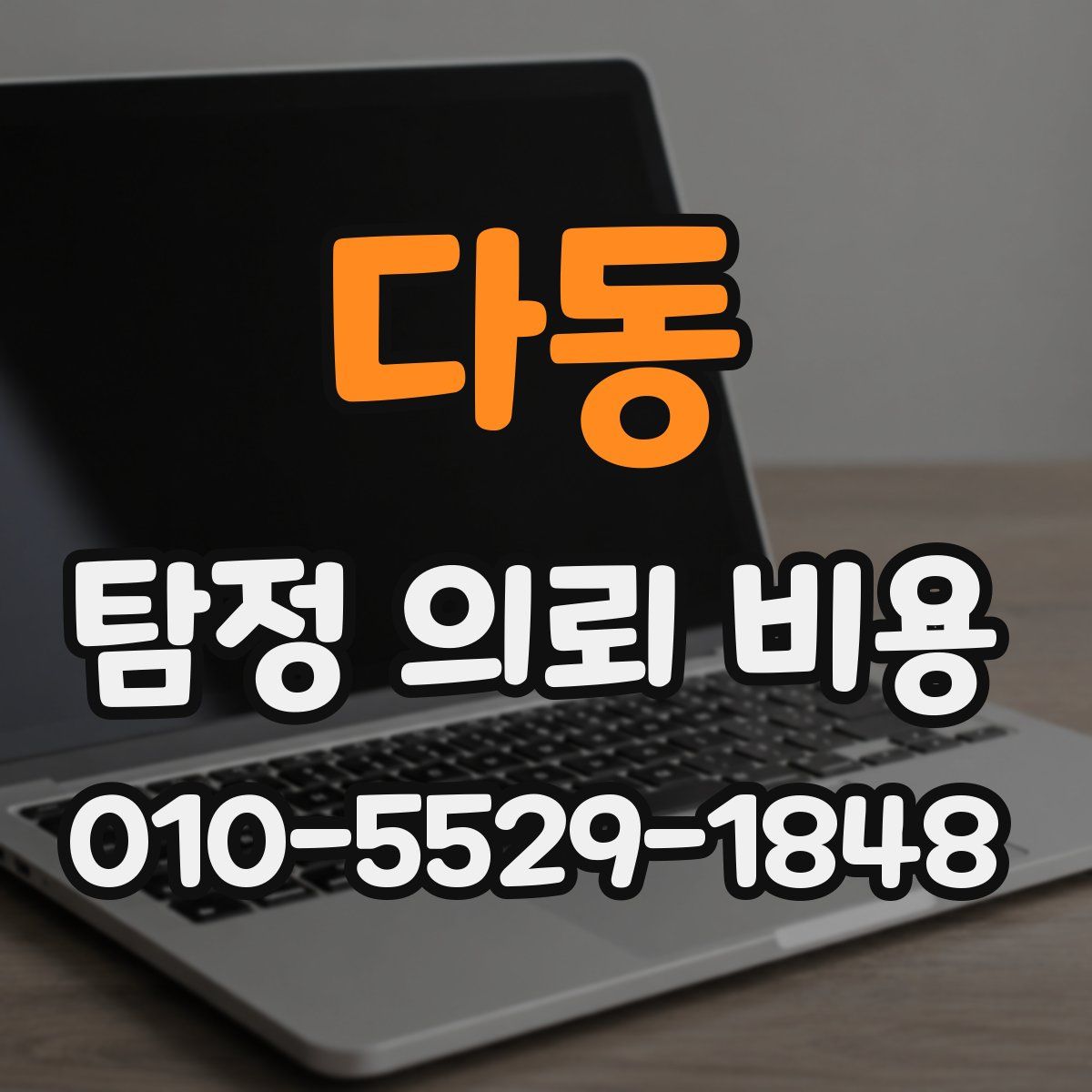 다동 탐정 의뢰 비용