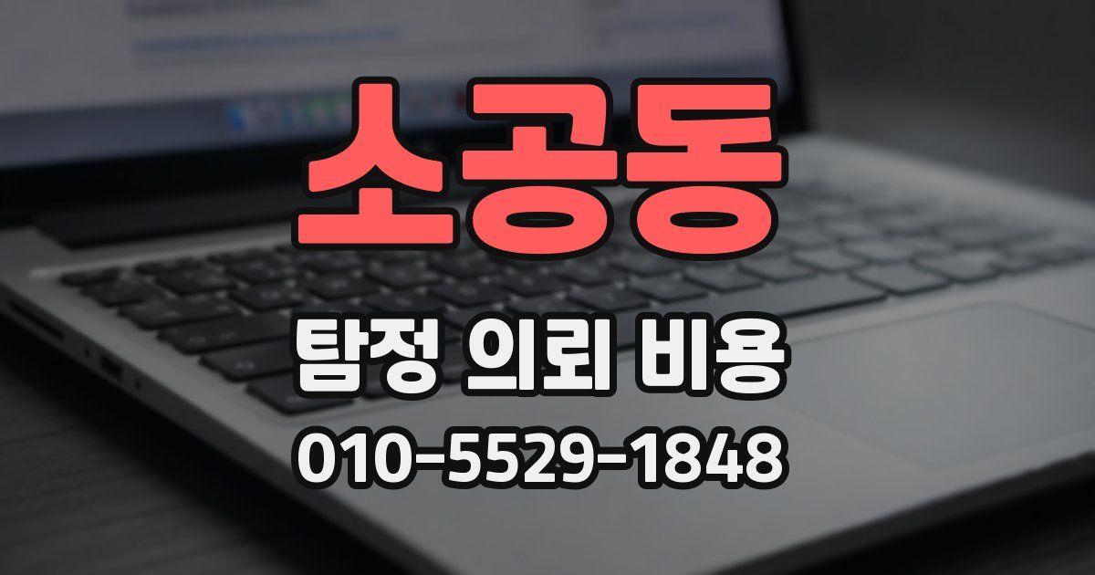 소공동 탐정 의뢰 비용
