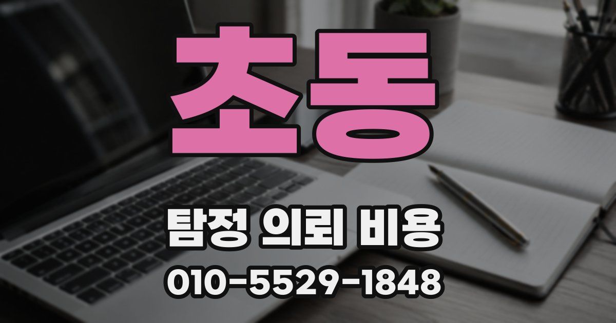 초동 탐정 의뢰 비용