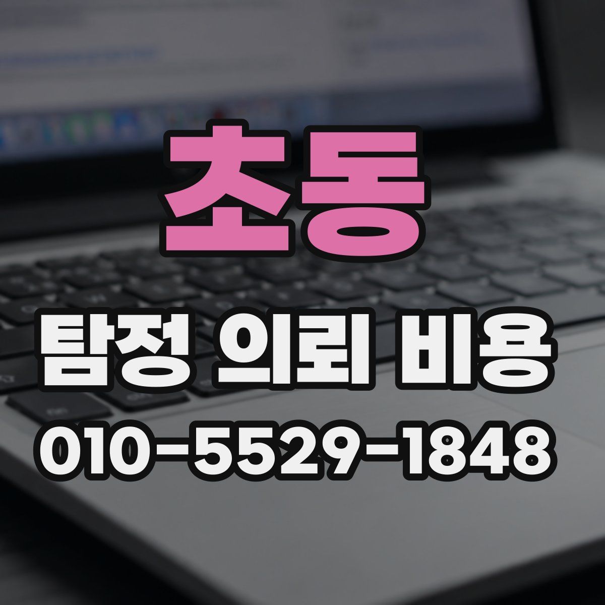 초동 탐정 의뢰 비용