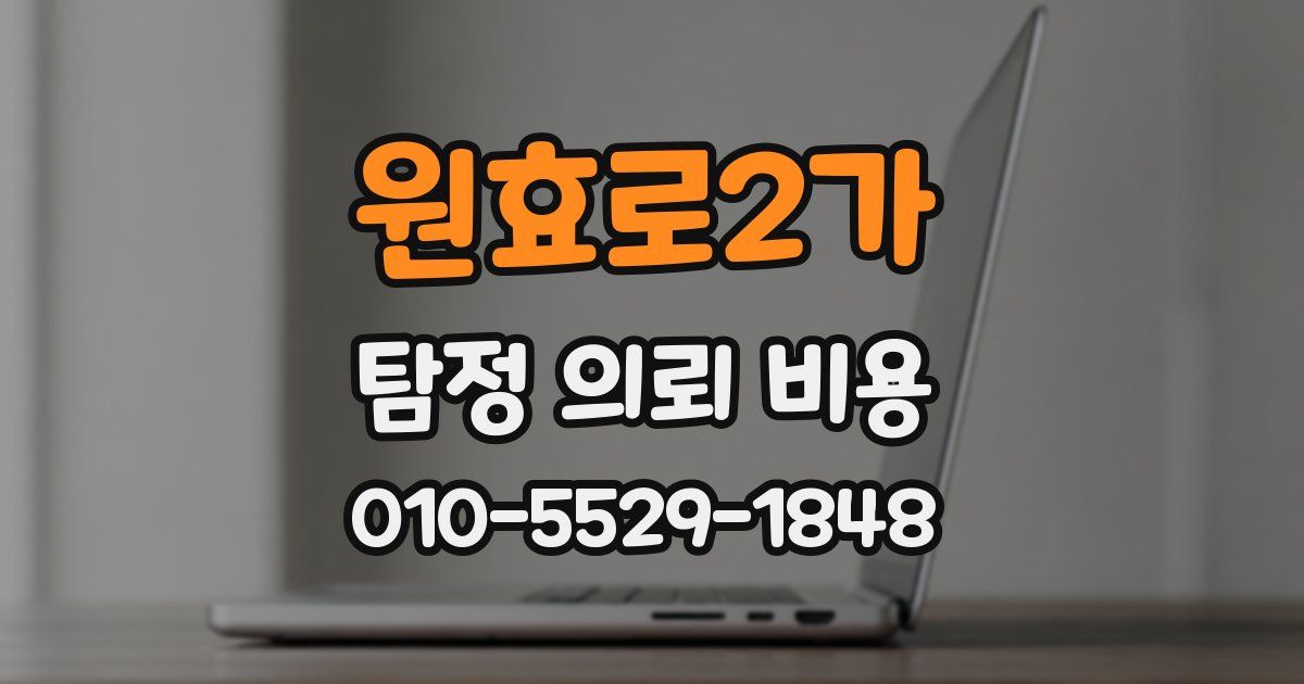 원효로2가 탐정 의뢰 비용