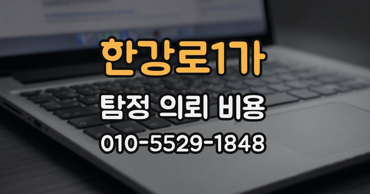 한강로1가 탐정 의뢰 비용