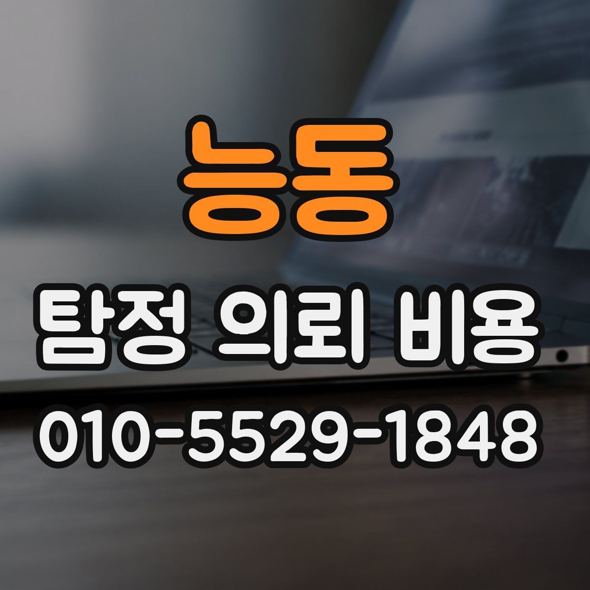 능동 탐정 의뢰 비용