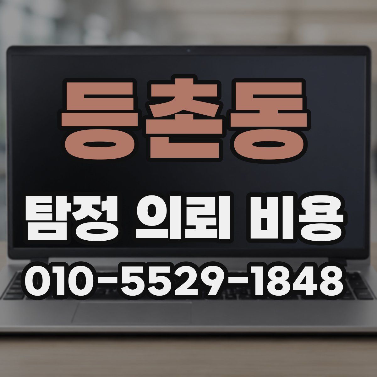 등촌동 탐정 의뢰 비용