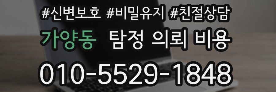 가양동 탐정 의뢰 비용