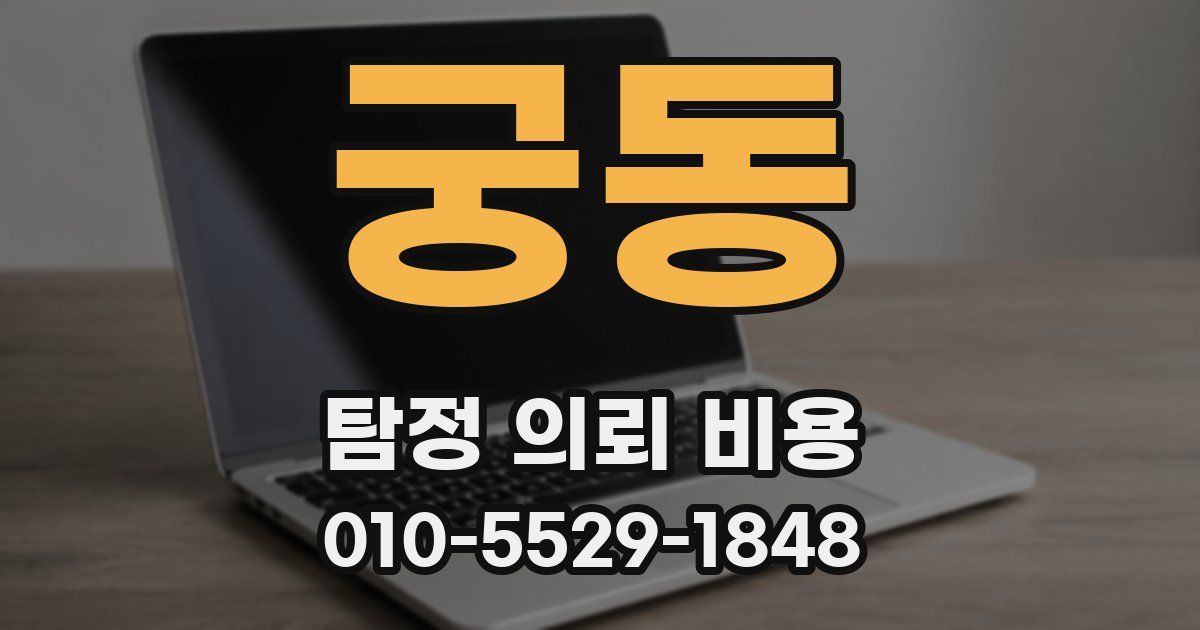 궁동 탐정 의뢰 비용