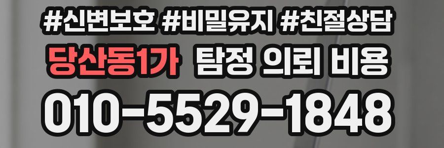 당산동1가 탐정 의뢰 비용