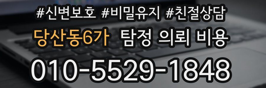 당산동6가 탐정 의뢰 비용