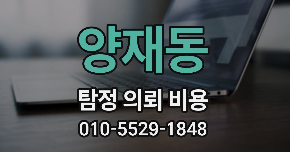 양재동 탐정 의뢰 비용