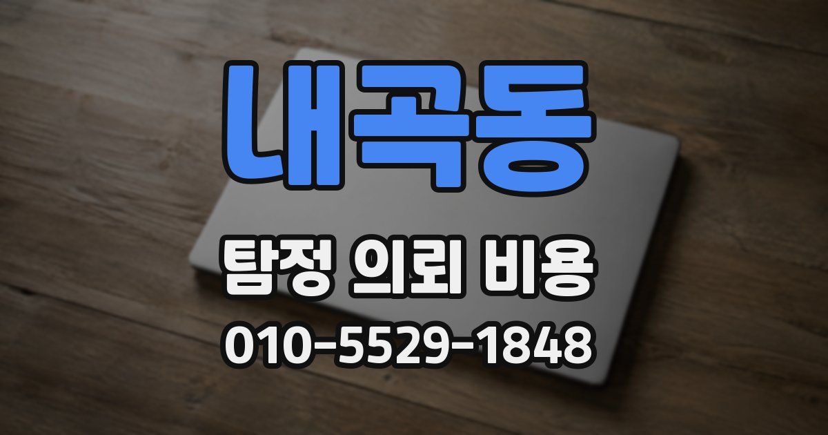 내곡동 탐정 의뢰 비용