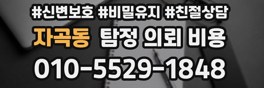 자곡동 탐정 의뢰 비용