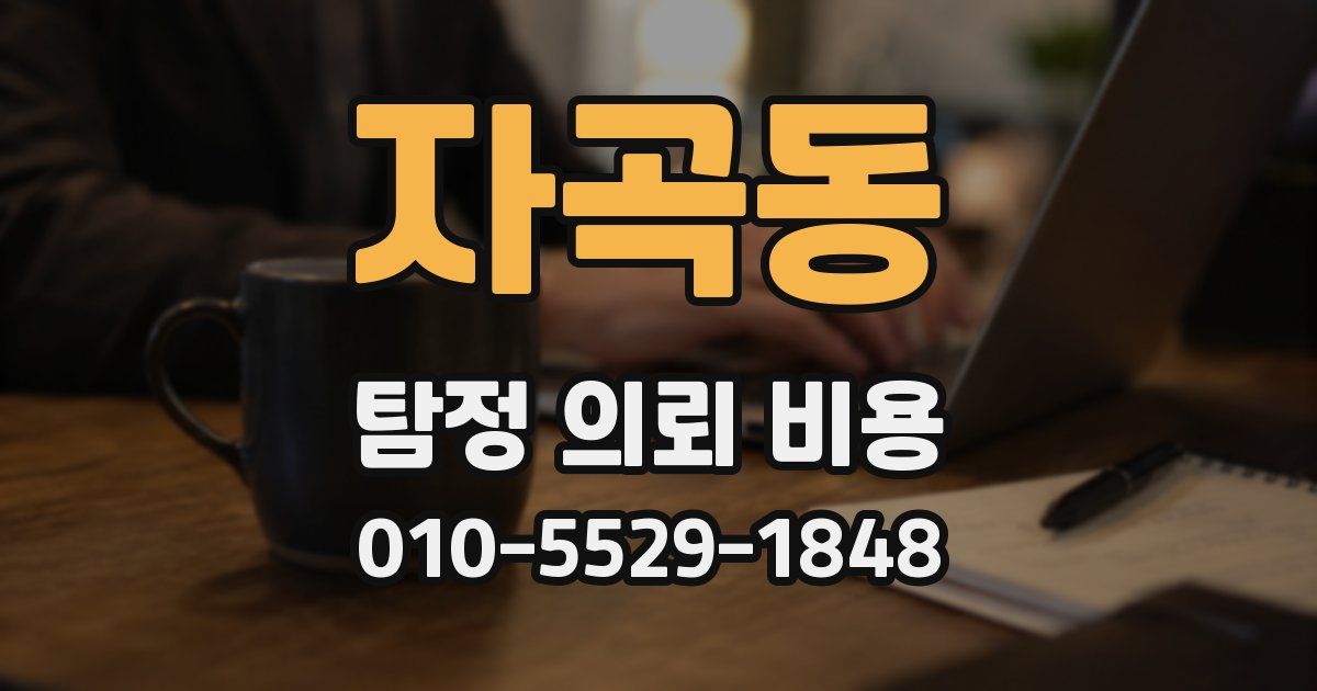 자곡동 탐정 의뢰 비용