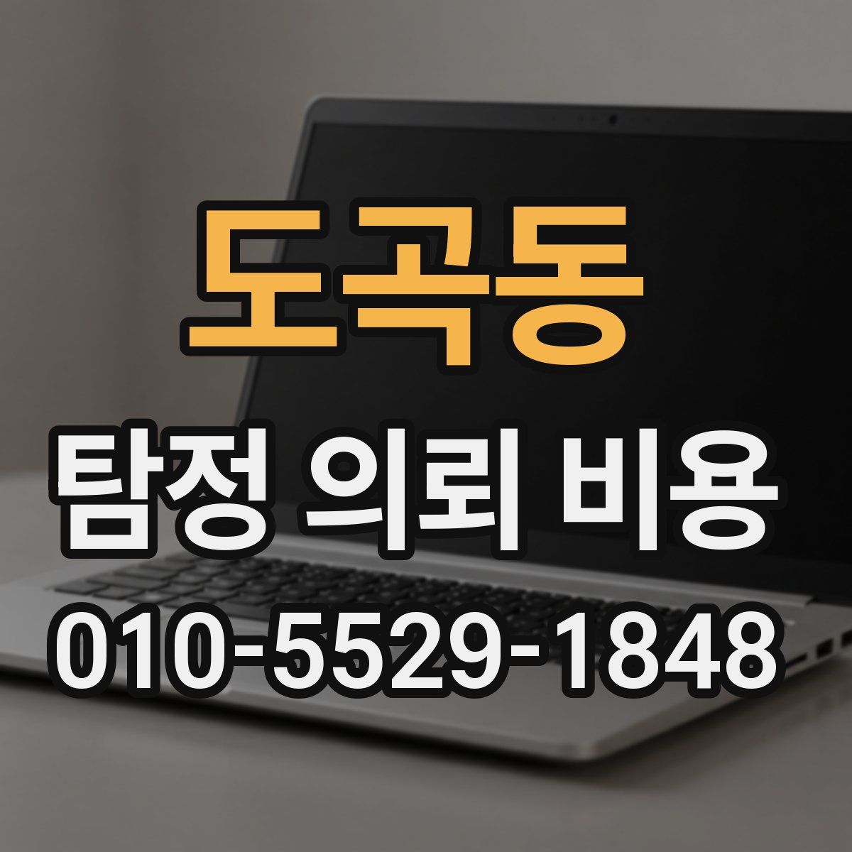 도곡동 탐정 의뢰 비용