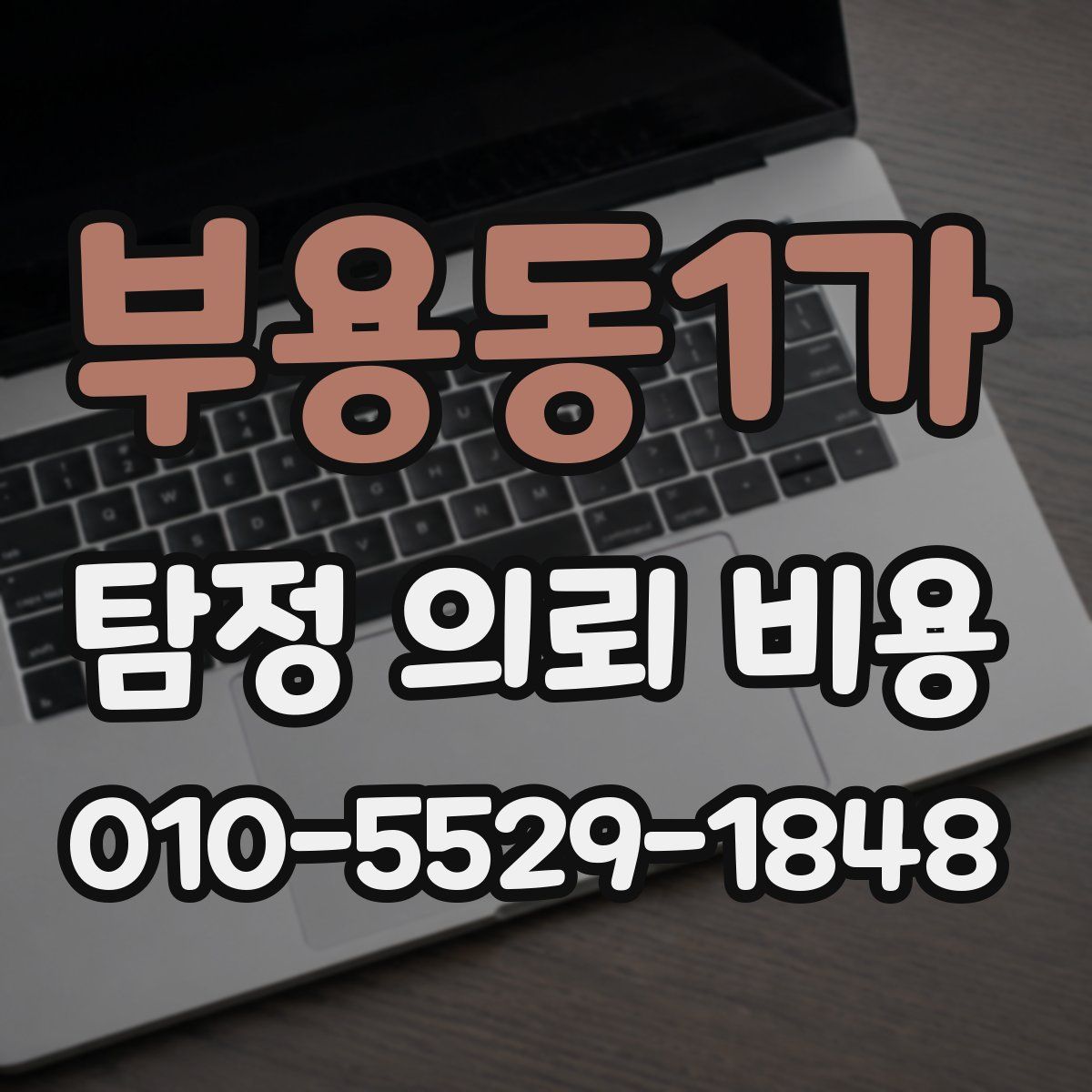부용동1가 탐정 의뢰 비용
